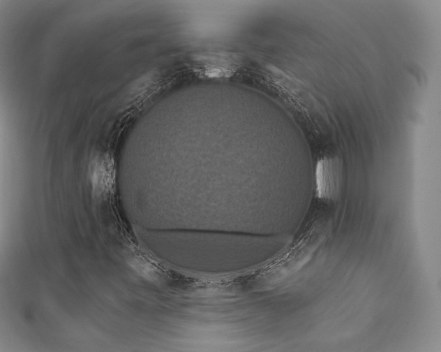 X0000111831443200907231307