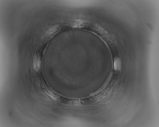 X0000111831444200907231307