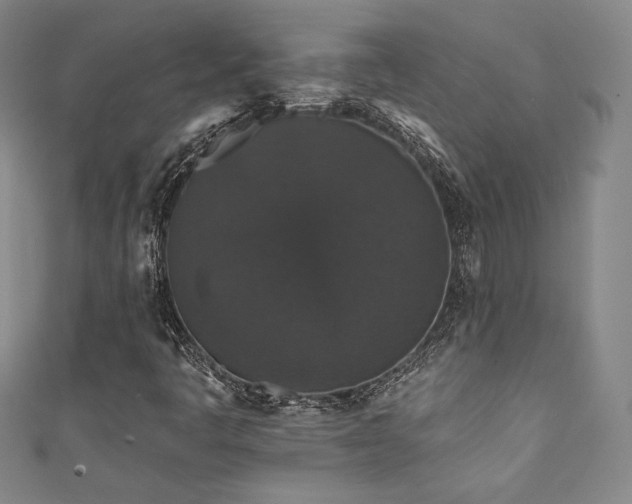 X0000111831445200907231307