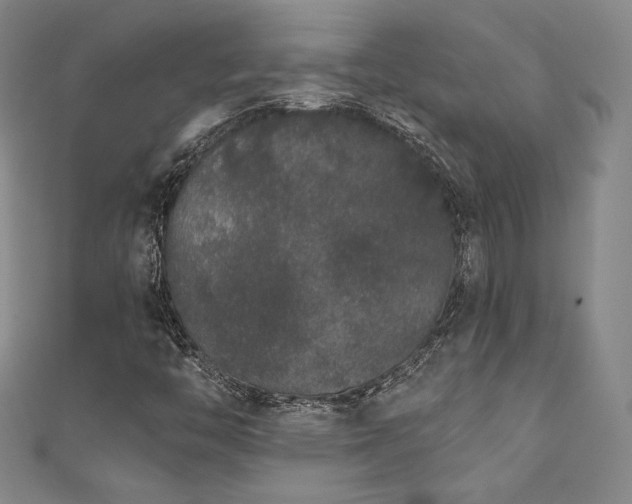 X0000111831446200907231307