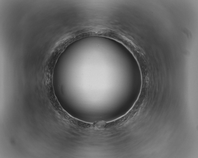 X0000111831447200907231307
