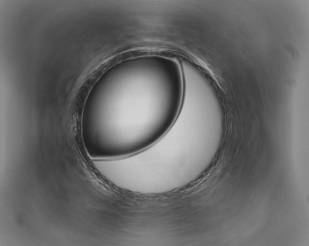 X0000111831448200907231307