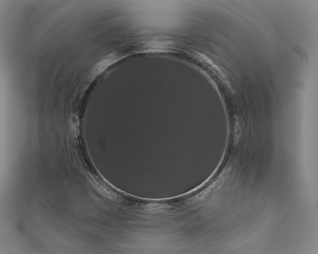 X0000111831449200907231307