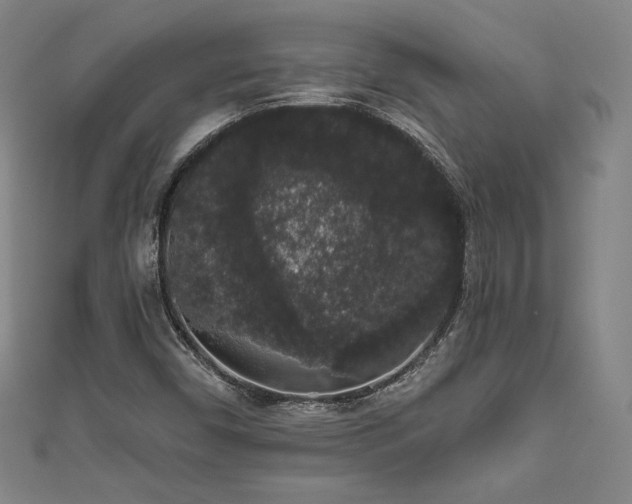 X0000111831450200907231307
