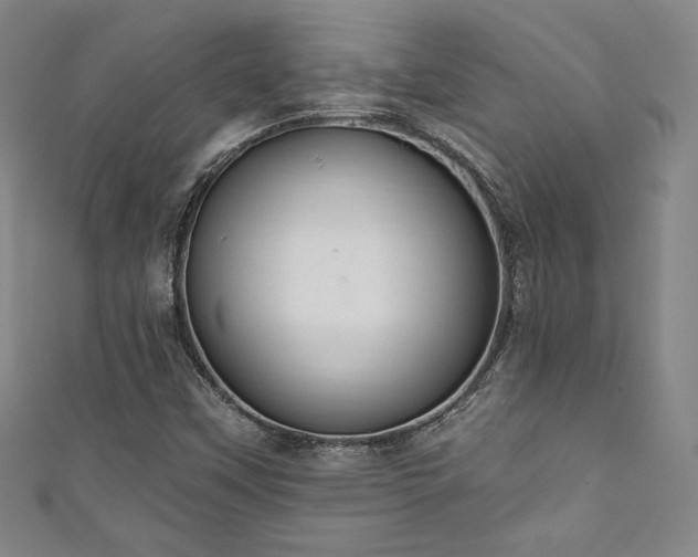 X0000111831451200907231307