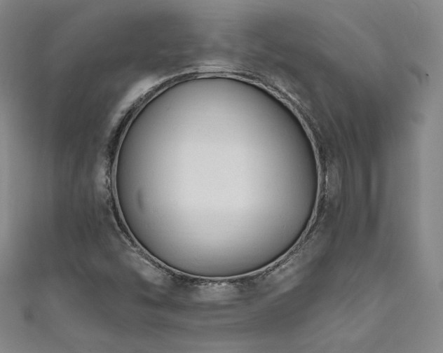 X0000111831454200907231307