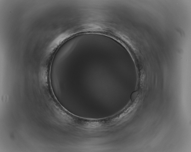 X0000111831455200907231307