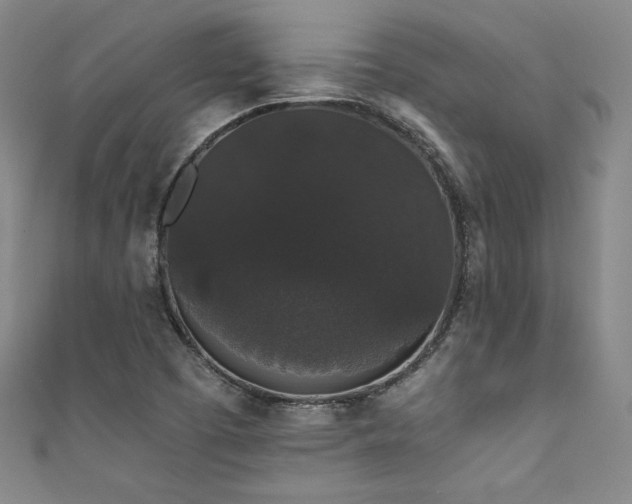 X0000111831457200907231307