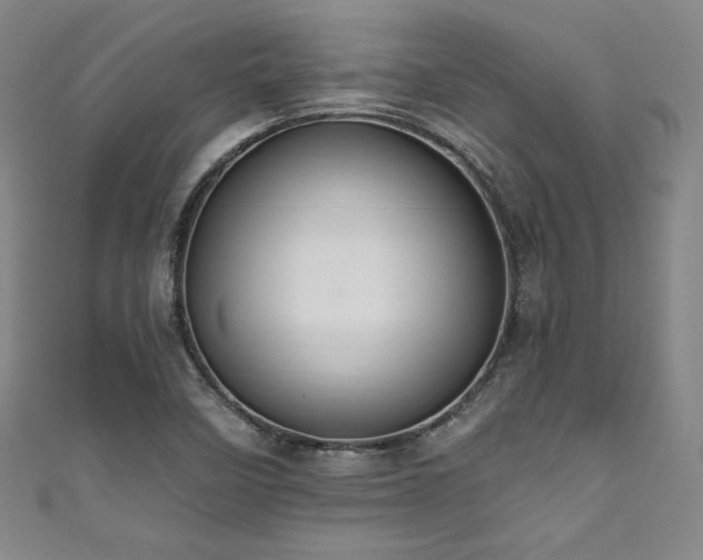X0000111831458200907231307