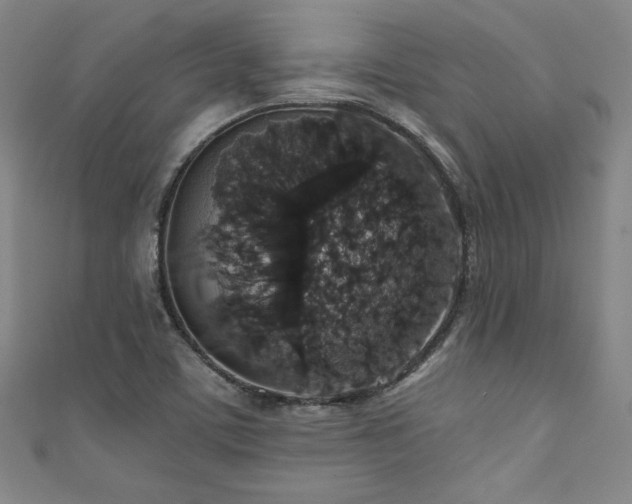 X0000111831459200907231307
