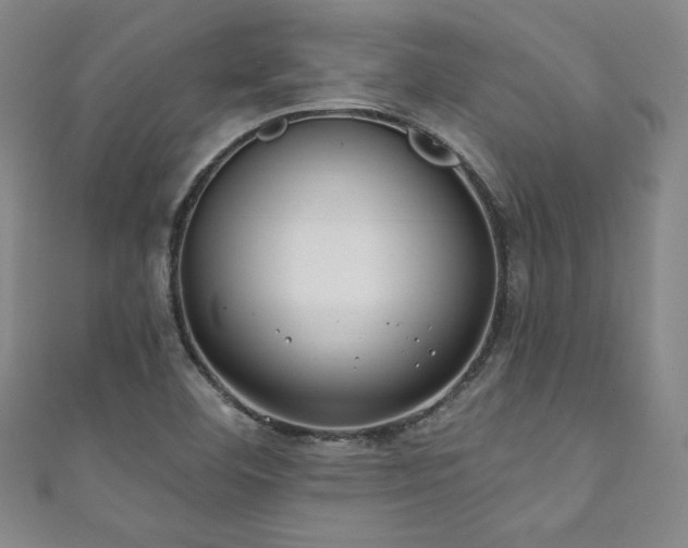 X0000111831460200907231307