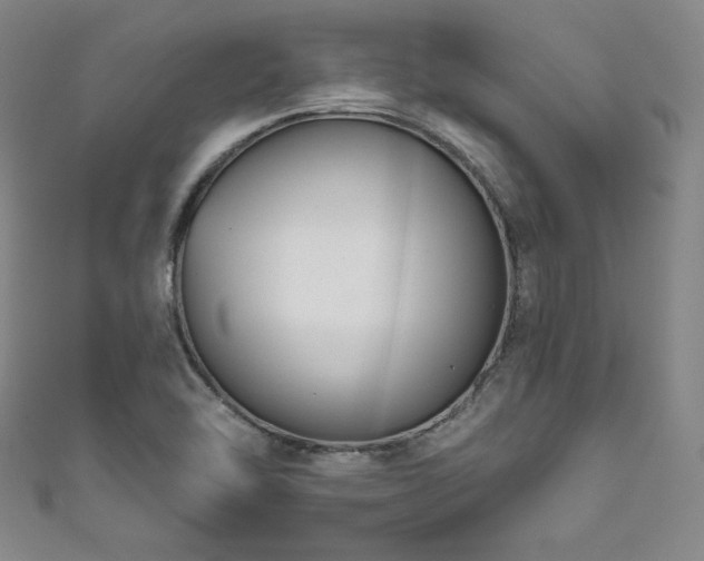 X0000111831462200907231307