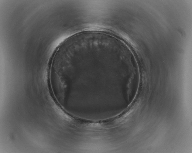 X0000111831463200907231307