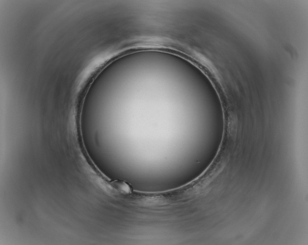 X0000111831464200907231307