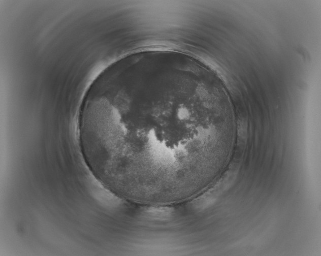 X0000111831466200907231306