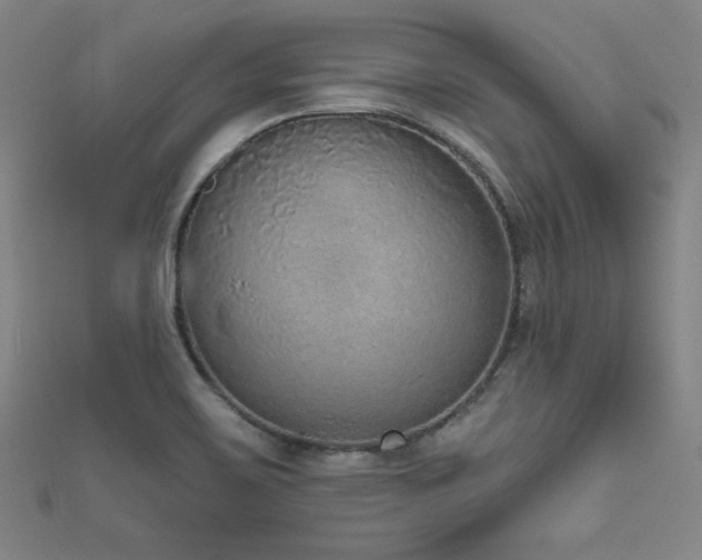 X0000111831467200907231306