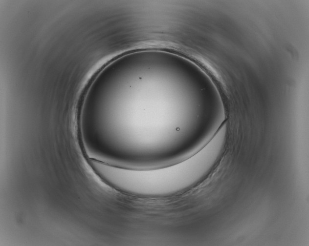 X0000111831468200907231306