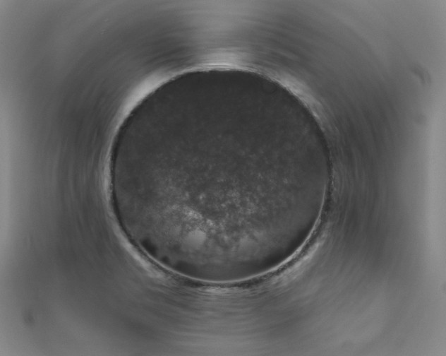 X0000111831469200907231306