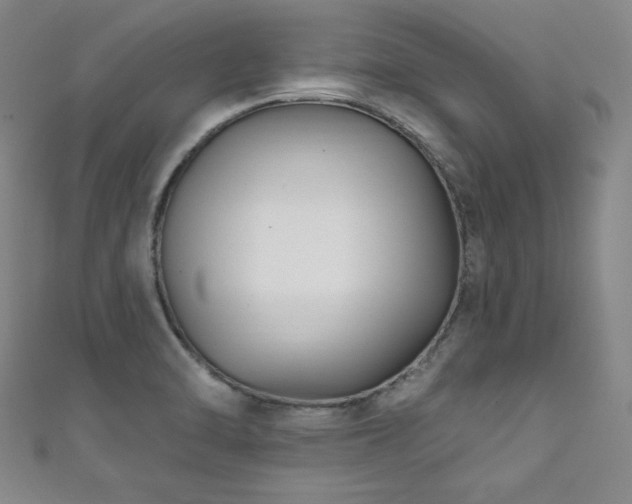 X0000111831470200907231306