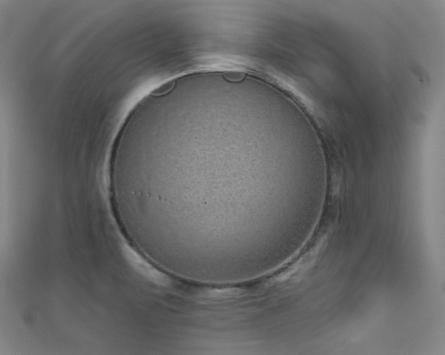 X0000111831471200907231306