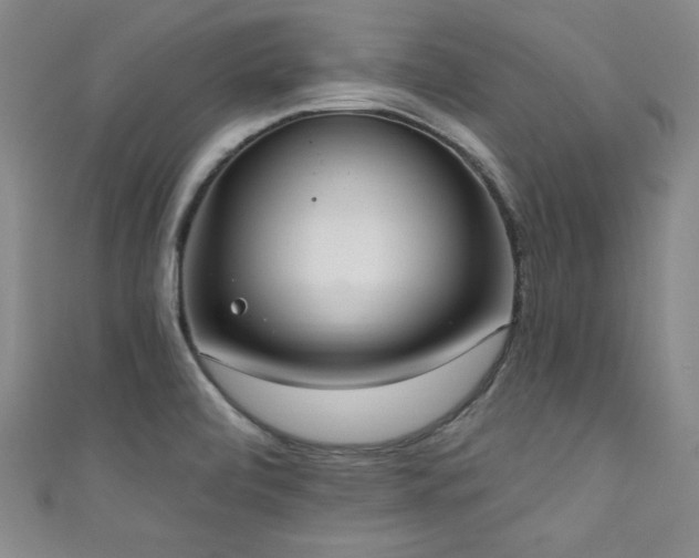 X0000111831472200907231306