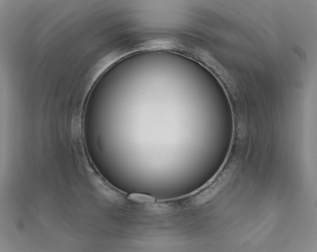 X0000111831473200907231306