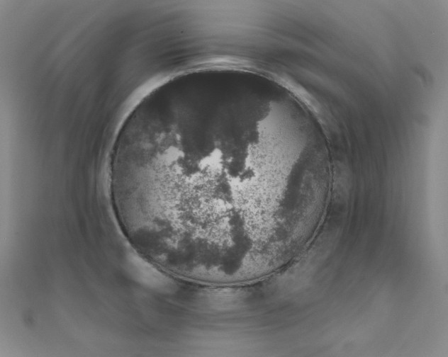 X0000111831474200907231306