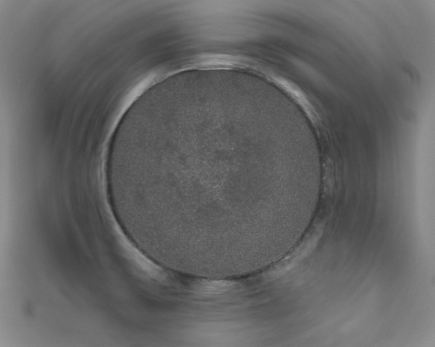 X0000111831475200907231306