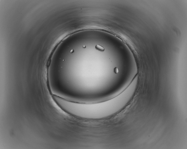 X0000111831476200907231306
