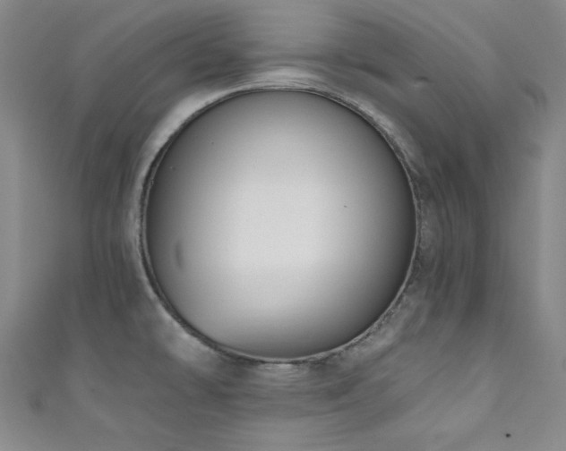X0000111831478200907231306