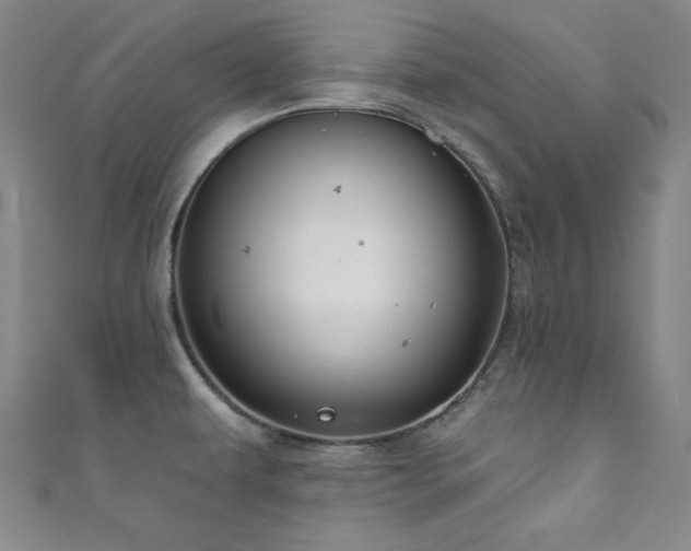 X0000111831479200907231306