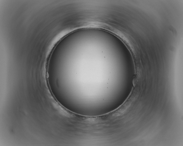 X0000111831480200907231306