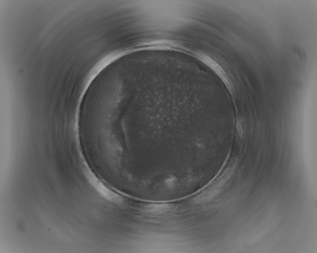 X0000111831482200907231306
