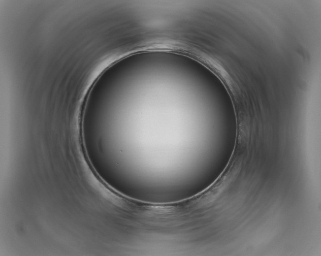 X0000111831483200907231306