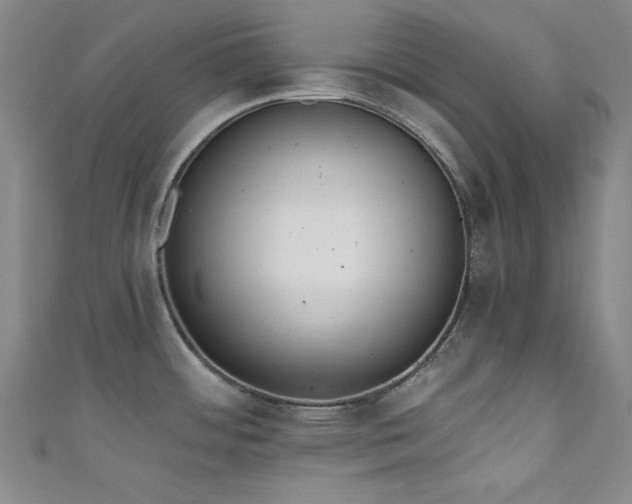 X0000111831484200907231306