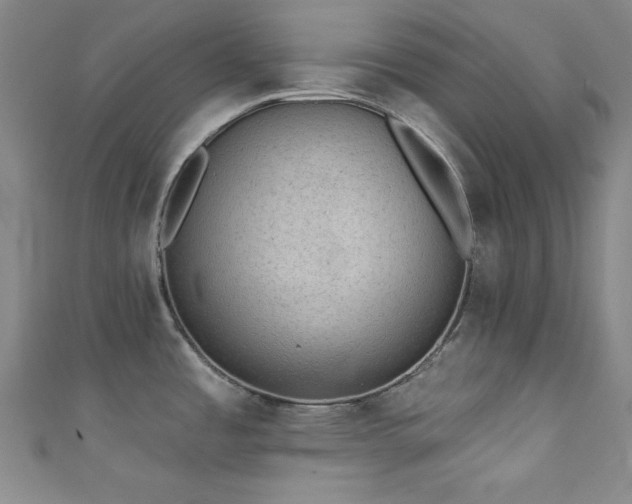 X0000111831485200907231306