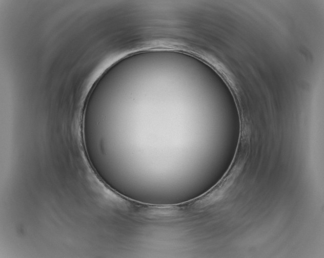 X0000111831486200907231306