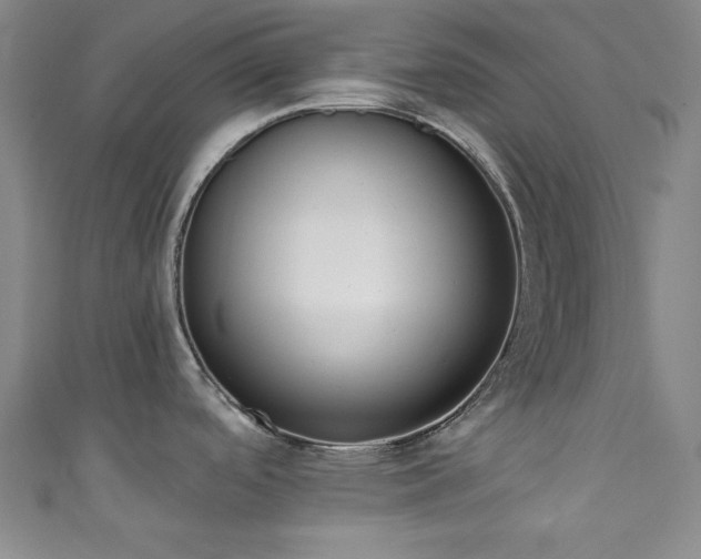 X0000111831488200907231306