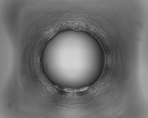X0000111831489200907231306
