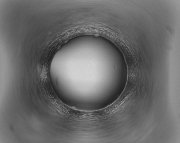 X0000111831490200907231306