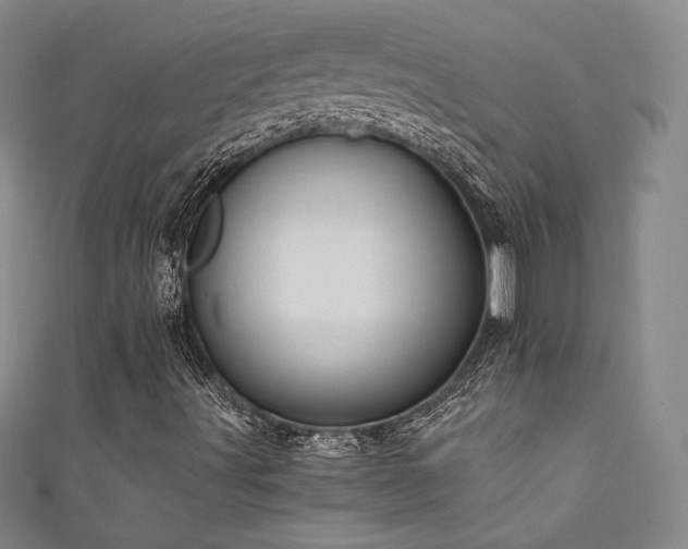 X0000111831491200907231306