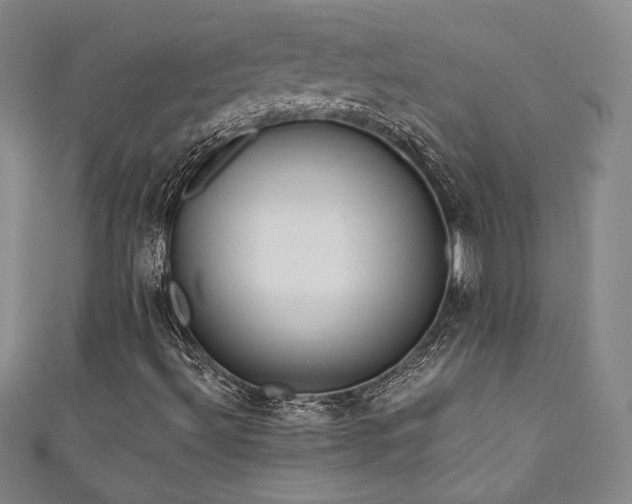 X0000111831492200907231306