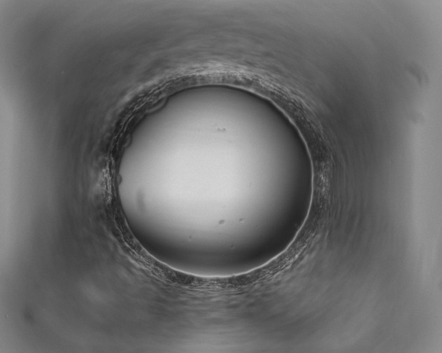 X0000111831493200907231306