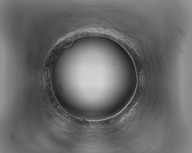 X0000111831494200907231306