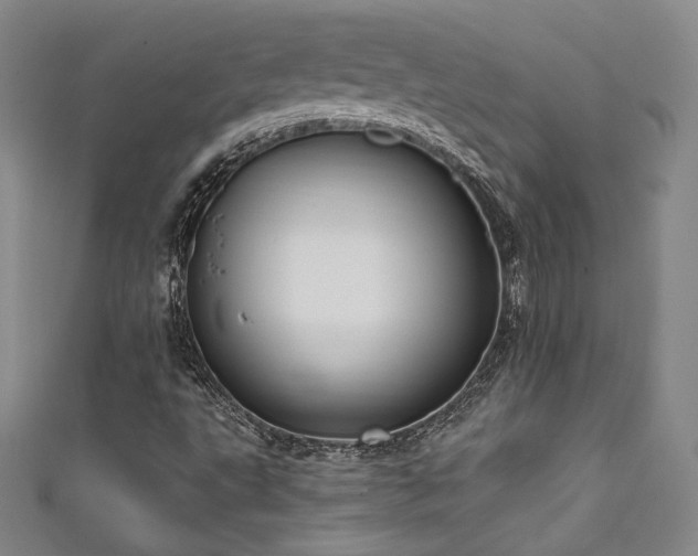 X0000111831495200907231306