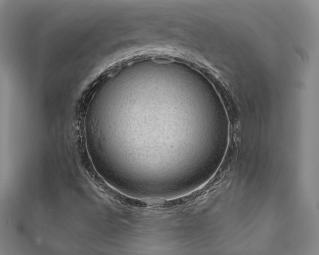X0000111831496200907231306