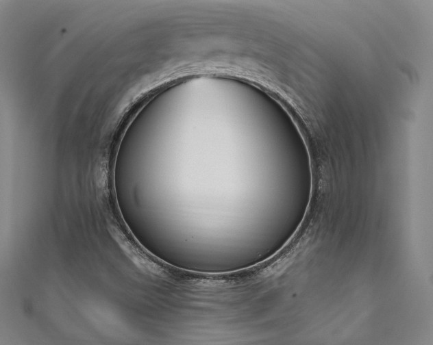 X0000111831499200907231306