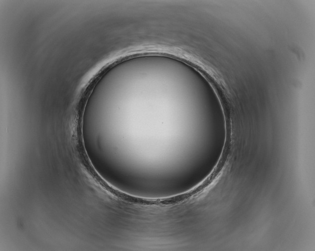X0000111831502200907231306