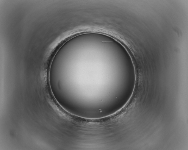 X0000111831503200907231306