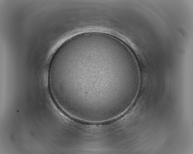 X0000111831504200907231306
